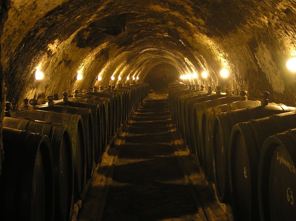 地下のワイン置き場