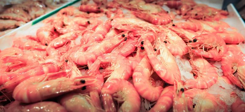 海老（エビ）は英語でlobster、prawn、shrimpです