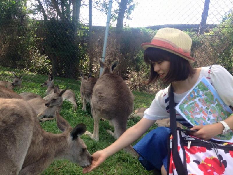 留学中のオーストラリアで動物と触れ合う