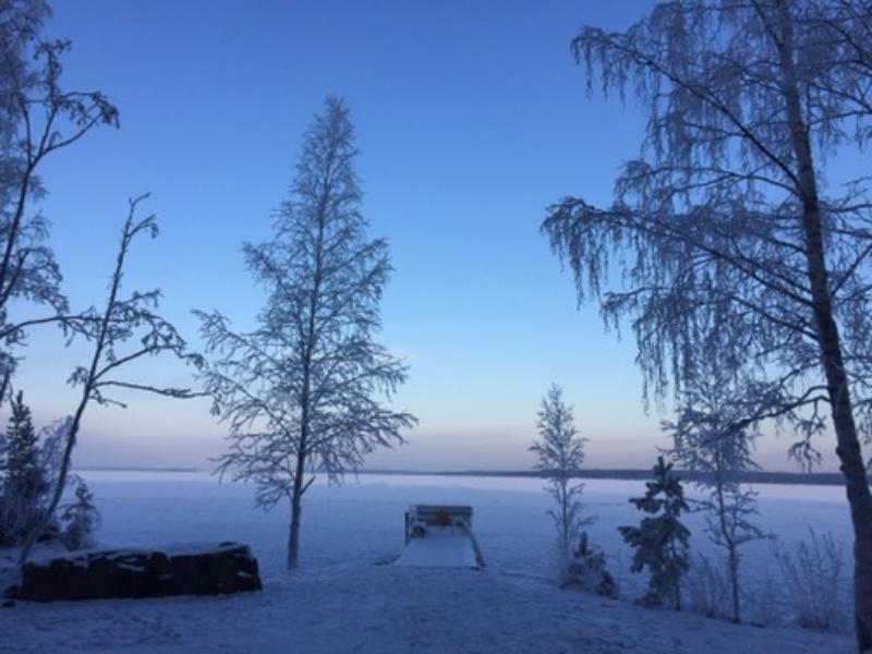 フィンランドの冬