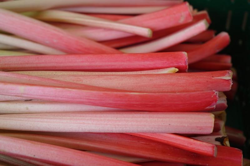 rhubarb